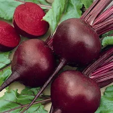 Premium Detroit Red Beets - Most Popular Variety