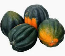 Premium Table King Bush Acorn Winter Squash