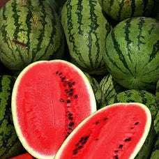 Premium All Sweet Watermelon - One of the sweetest ever!