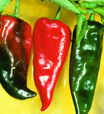 Premium Anaheim Hot Pepper