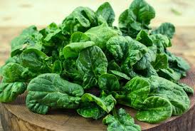 Premium Bloomsdale Spinach