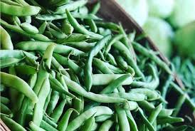 Premium Mountaineer Half Runner Green Beans