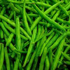 Premium Provider Stringless Green Bean- Earlier than most