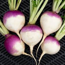 Premium Purple Top Turnip