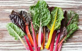 Premium Rainbow Swiss Chard