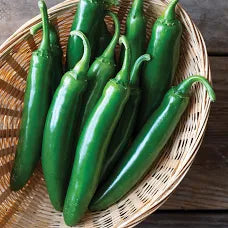 Premium Hot Serrano Pepper