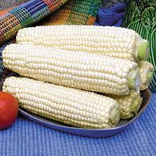 Premium Silver Queen Corn