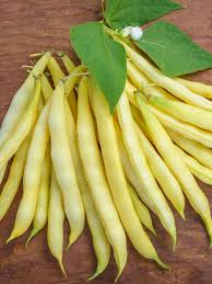 Premium Golden Stringless Yellow Wax Bean