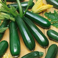 Premium Black Beauty Zucchini Seeds